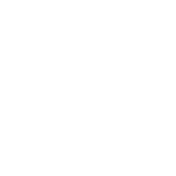 aaa