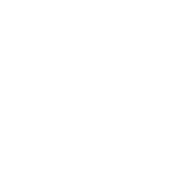 aaa